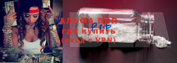 амф Новокубанск