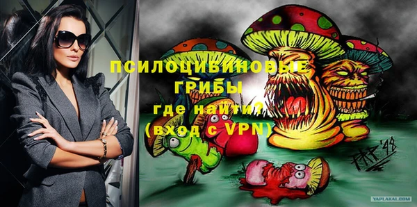амф Новокубанск