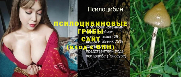 мдма Новодвинск
