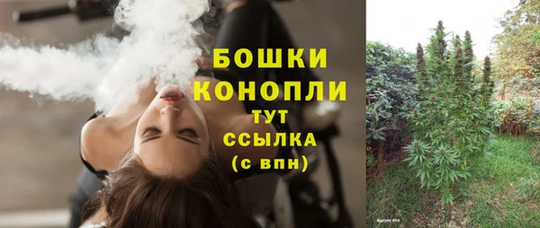 амф Новокубанск