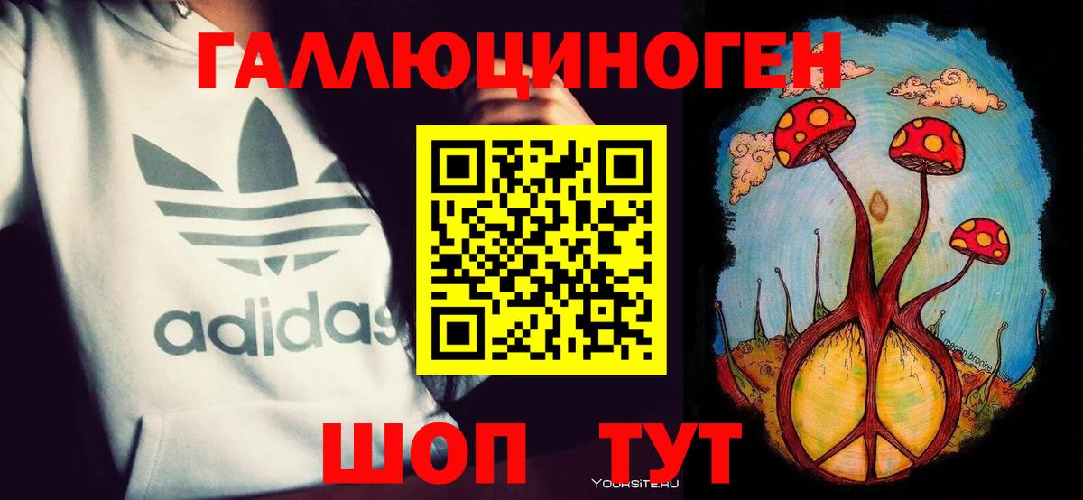 Псилоцибиновые грибы Psilocybe  Псилоцибиновые грибы Psilocybe  Вход с VPN  Осинники 